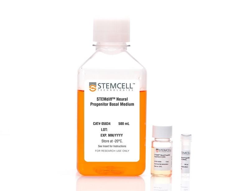 STEMdiff Neural Progenitor Medium | 製品情報 | ベリタス